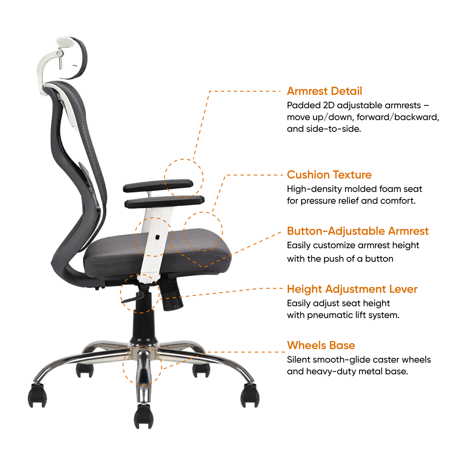 Modesty chair specifications
