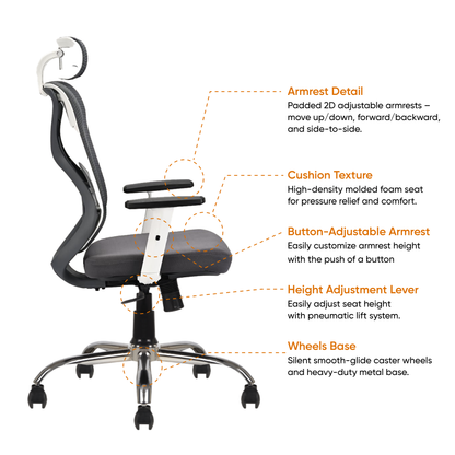 Modesty chair specifications